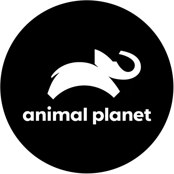 Animal Planet Icon