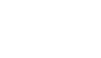 bose.png