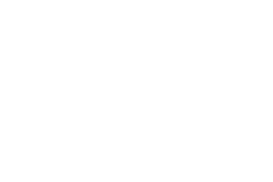 logoae.png